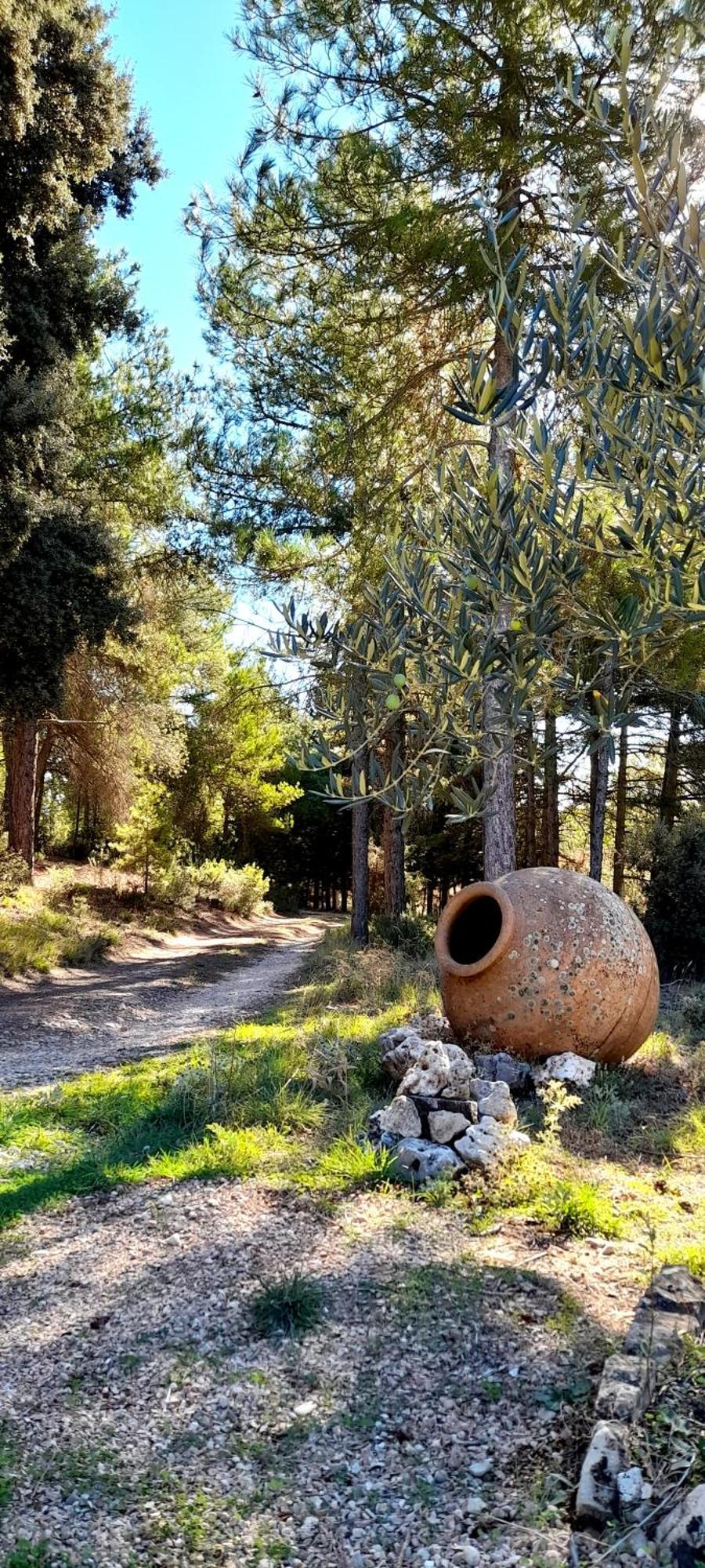 Villa Sanz Cuenca  Extérieur photo